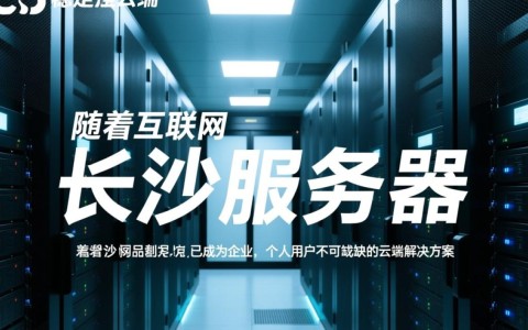 长沙服务器空间，为何如此抢手？性价比高还是有何独特优势？