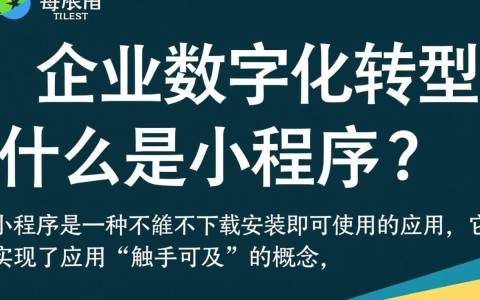 石家庄小程序开发商哪家最靠谱？如何选择优质服务商？