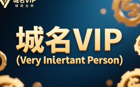 域名vip具体指代什么？为何如此命名？背后有何含义？