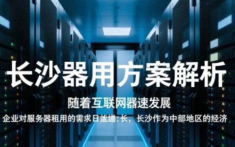 长沙服务器租用，哪家服务商性价比更高，服务更可靠？