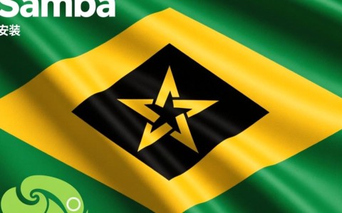 如何在SUSE系统上正确配置和使用Samba服务？