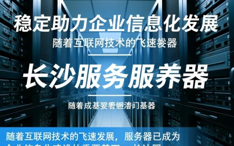 长沙服务服务器，为何成为企业首选？揭秘其优势与潜力之谜？