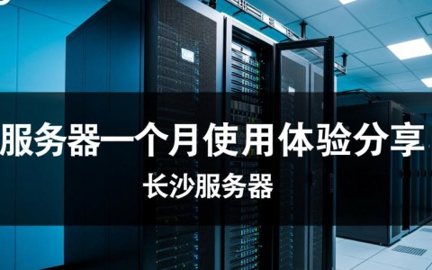 长沙服务器一个月，性价比高吗？如何选择合适的配置？