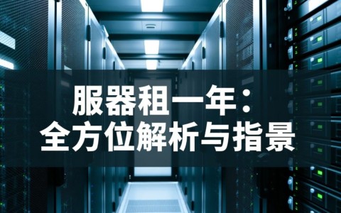 长沙服务器租用一年，性价比如何？哪家服务商更值得信赖？