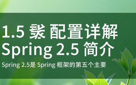 Spring 2.5配置中，有哪些关键步骤或最佳实践容易忽略？