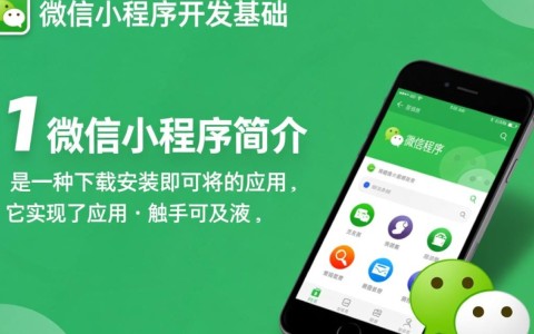 微信应用程序开发的具体步骤和技巧有哪些？