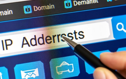 如何准确查询并识别特定域名的IP地址？