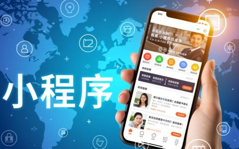 app小程序开发服务商哪家服务更专业，性价比更高？