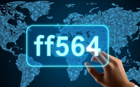 ff564新域名揭晓，ff564的最新域名究竟有何特别之处？