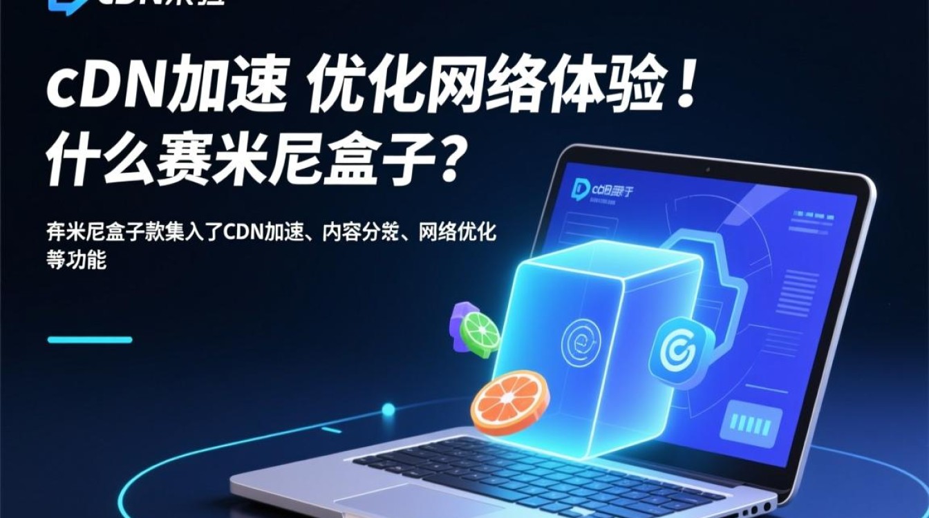 赛米尼盒子真的只是用于cdn加速，没有其他功能吗？