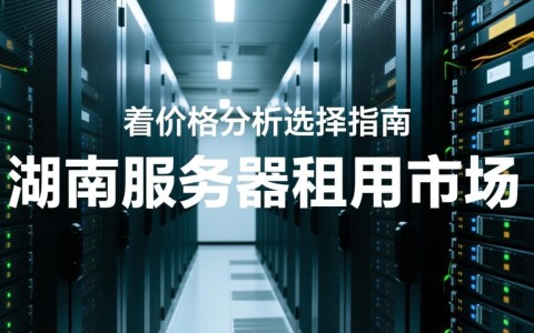 湖南服务器租用价格究竟有多高？性价比如何？