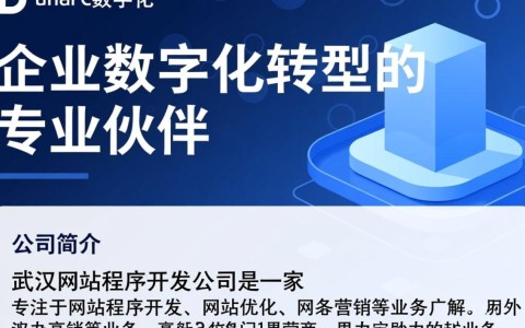 武汉网站程序开发公司哪家更专业？如何选择适合自己的服务？
