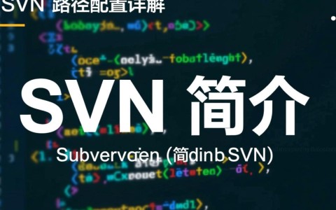 SVN路径配置中，如何确保不同项目间路径不冲突？