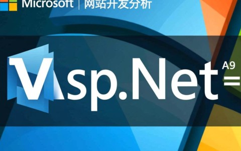 Asp.net网站开发分析，技术优势与挑战并存，你了解多少？