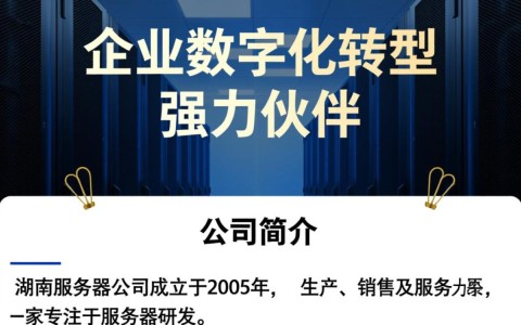 湖南服务器公司，湖南地区服务器市场发展现状及未来趋势如何？