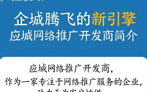 应城网络推广开发商，如何助力企业高效网络营销？