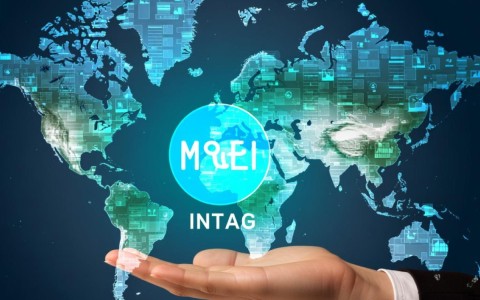 为什么选择最安全的域名注册商，其安全保障究竟有何独特之处？