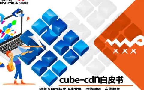 中国联通cube-cdn白皮书，揭秘立方体CDN技术优势与应用前景？