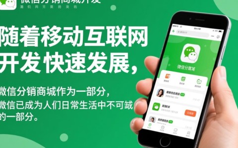 邢台微信分销商城开发，如何实现高效运营与盈利模式？