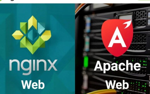 如何有效配置nginx与apache协同工作？nginx和apache最佳配置策略探讨