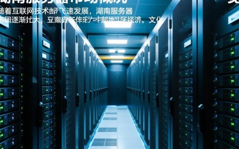 湖南服务器大概分布在哪里？具体位置及数量是？