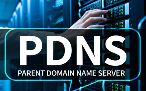 上级域名服务器的作用是什么？它如何影响网站访问速度和稳定性？