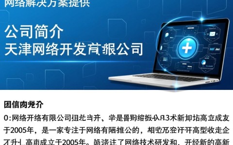 天津网络开发有限公司，揭秘这家公司的业务范围与市场定位？