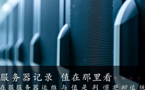 服务器记录值在哪里看？详细教程及常见问题解答