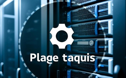 服务器设置家的插件怎么用？有哪些功能推荐？