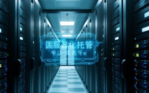 湖南服务器托管，有哪些优势和服务特点，性价比如何？