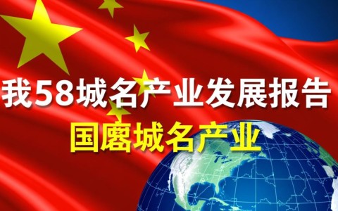 中国域名产业发展报告，报告揭示哪些关键疑问与趋势？