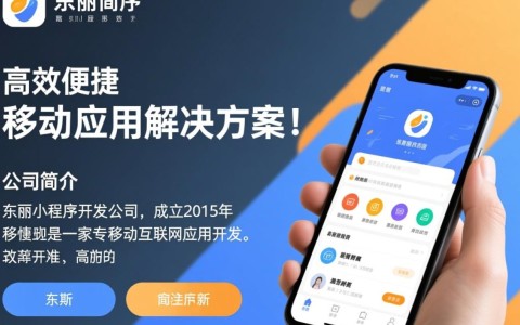 东丽小程序开发公司，如何确保项目质量与创新性？