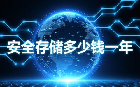 安全存储一年多少钱？不同存储方案价格差异大吗？