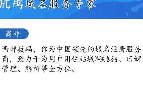 西部数码域名注册官网为何如此受欢迎？揭秘其独特优势与行业地位！