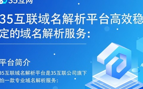 35互联域名解析平台为何如此受欢迎？揭秘其优势与使用体验？