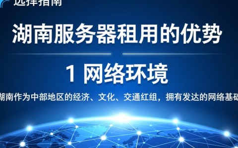 湖南租个服务器，价格、性能、稳定性哪家服务商更胜一筹？