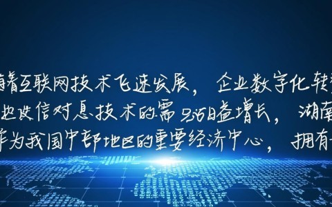 湖南服务器托管，为何选择这里？性价比与稳定性如何权衡？