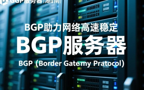 湖南bgp服务器性能如何？性价比高的选择有哪些？
