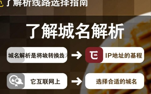 如何根据需求精准选择域名解析线路，确保网站访问速度与稳定性？