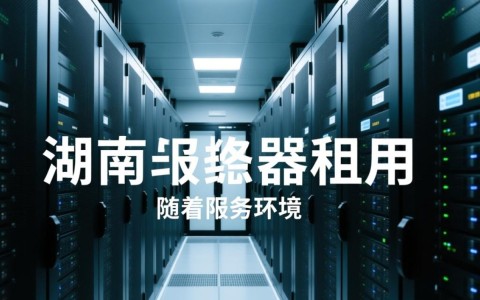 湖南服务器租用，为何成为企业网络布局的新宠？性价比之谜揭晓！