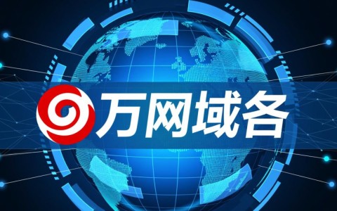 万网域名解析到国外是否可行？有何风险与注意事项？