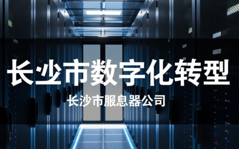 长沙市服务器公司哪家企业技术实力最强，市场口碑如何？