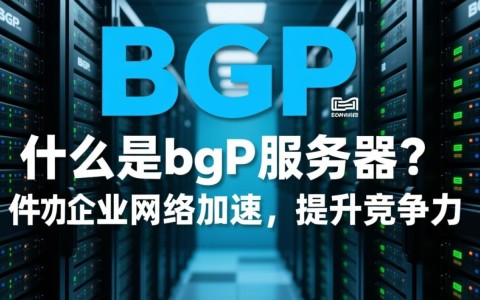 株洲bgp服务器，如何选择性价比高的优质服务商？