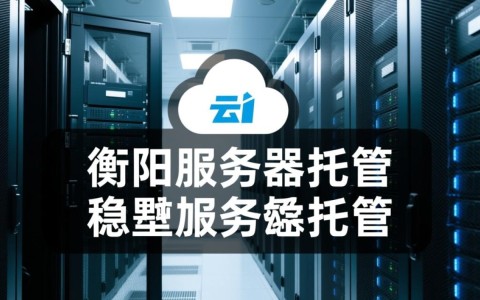 衡阳服务器托管，哪家服务商性价比更高？服务保障如何？