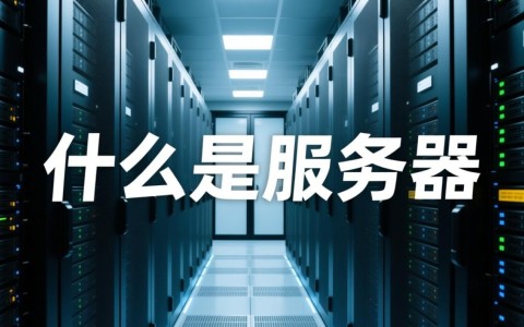 常德服务器玩，有何独特之处？为何备受玩家青睐？