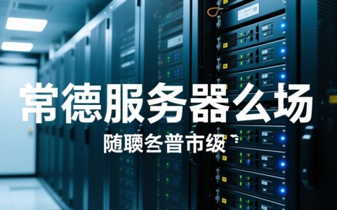常德服务器选购疑问，究竟哪家服务商性价比最高？