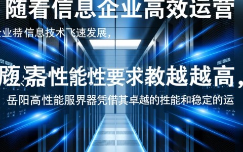 岳阳高性能服务器有哪些优势与特点？选购时需要注意哪些要点？