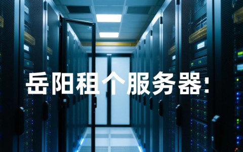 岳阳租个服务器，性价比高的配置推荐与选择指南？