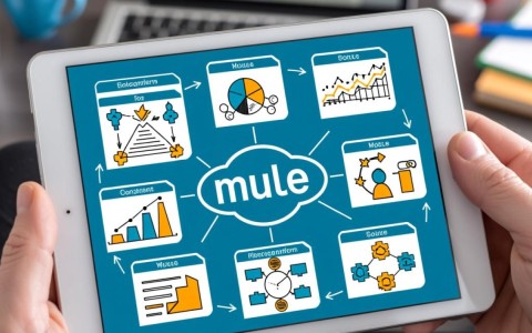 mule配置如何优化和调整mule ESB以提升企业集成效率？