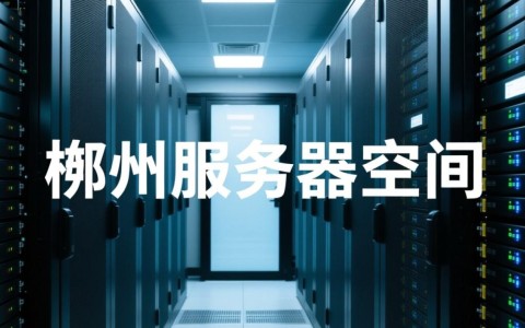 郴州服务器空间，性价比高的选择为何备受争议？揭秘背后的真相！